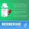 SFD Berberyna HCl, tabletki, 90 szt.