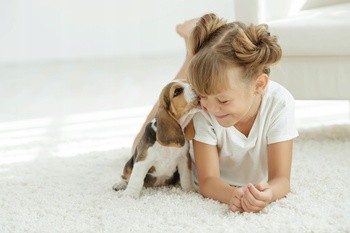 Dr Lucy Home 4, szampon dla szczeniąt, 250 ml