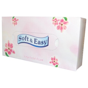 Chusteczki, higieniczne Soft & Easy, 80 szt, karton
