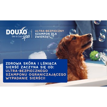 Douxo Spa Shed Control, szampon przeciw wypadaniu sierści dla psów, 250 ml