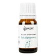 Natur Planet, olejek eteryczny eukaliptusowy, 10 ml