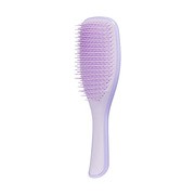 Tangle Teezer The Ultimate Detangler Fine & Fragile Hypnotic Heather, szczotka do włosów, 1 szt. https://azcdn.doz.pl/image/d/product/02cafae0-scale-180x180.png