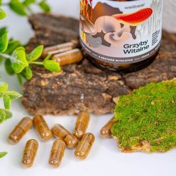 Wellbear Grzyby witalne, kapsułki, 60 szt.