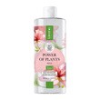 Lirene Dermoprogram Power of Plants Róża, kojący płyn micelarny 3 w 1, 400 ml