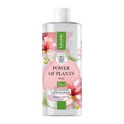 Lirene Dermoprogram Power of Plants Róża, kojący płyn micelarny 3 w 1, 400 ml https://azcdn.doz.pl/image/d/product/0c75c682-scale-180x180.png