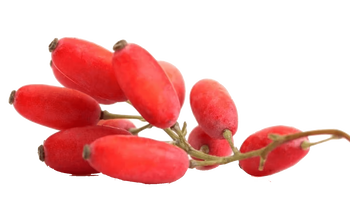 Bio Medical Pharma Berberine HCl, kapsułki twarde, 60 szt.