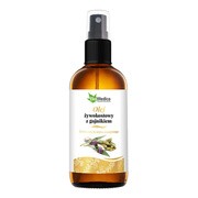 EkaMedica, Olej żywokostowy z gojnikiem, 100 ml https://azcdn.doz.pl/image/d/product/38c8a885-scale-180x180.png