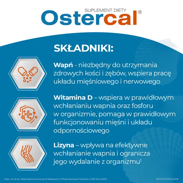 Кальций из раковин устриц Ostercal, с витамином D3, 90 капсул — фото 3