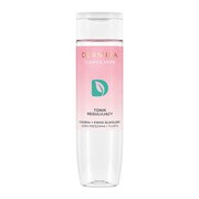 Dermika Clean & More, tonik regulujący dla cery mieszanej i tłustej, 200 ml https://azcdn.doz.pl/image/d/product/12c48e75-scale-180x180.png