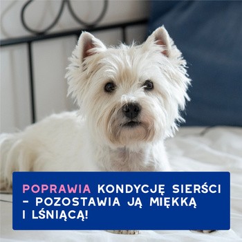 Douxo Spa Itch Soothing Shampoo, szampon łagodzący swędzenie dla psów, 250 ml
