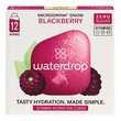 Waterdrop, Microdrink Snow Blackberry, kostki musujące do przygotowania napoju, 2,1 g x 12 szt.