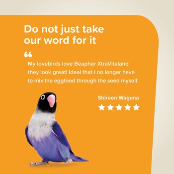 Beaphar XTR Parakeet, karma dla papużek falistych, 500 g