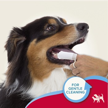 Beaphar Fingerpad Dental, czyścik do zębów dla psów i kotów, 2 szt.