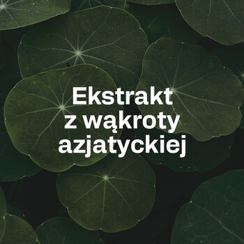 OstroVit Pharma Adapto Aid, kapsułki, 60 szt.