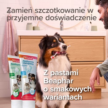 Beaphar, szczoteczka do zębów dla psów i kotów, dwugłowicowa, 1 szt.