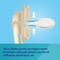 Canpol Babies, smoczek silikonowy DentalAir 6-18 m symetryczny, nude, 2 szt.