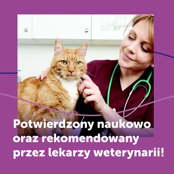 Feliway Classic, zestaw: dyfuzor i wkład uzupełniający 48 ml, 1 szt.