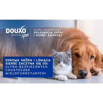 Douxo Spa Multipurpose Wipes, chusteczki wielofunkcyjne dla kotów i psów, 100 szt.