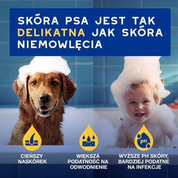 Douxo Spa Hydrating, ultra-bezpieczna odżywka dla psa, 250 ml