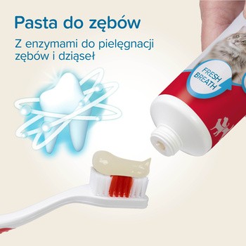 Beaphar Dental Kit, zestaw do czyszczenia zębów dla psów i kotów, 1 szt.