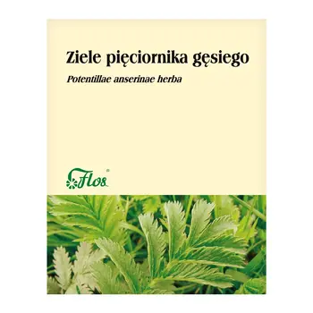 Ziele pięciornika gęsiego, zioło pojedyncze, 50 g (Flos)