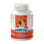 Mikita Canvital + karnityna, karma uzupełniająca dla psów, tabletki, 150 szt.
