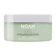 Noah Yal, odbudowująca maska do włosów z kwasem hialuronowym, 200 ml https://azcdn.doz.pl/image/d/product/bbc2dc7c-scale-180x180.png