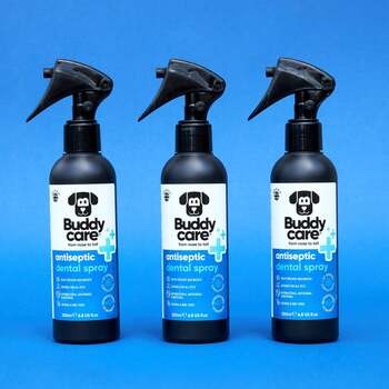 Buddycare, antyseptyczny spray do zębów dla zwierząt, 200 ml