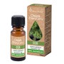 Vera Nord, olejek eteryczny, cedr, 10 ml