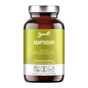 Panaseus Adaptogeny, kapsułki, 50 szt. https://azcdn.doz.pl/image/d/product/16f450a3-scale-180x180.png