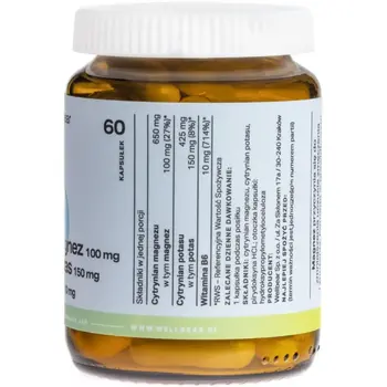 Wellbear Magnez 100 mg + Potas 150 mg + B6 10 mg, kapsułki, 60 szt.