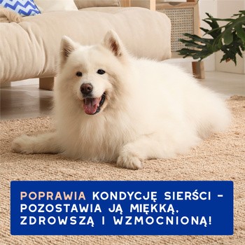 Douxo Spa Shed Control, szampon przeciw wypadaniu sierści dla psów, 250 ml