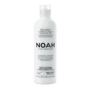 NOAH, odżywka ułatwiająca rozczesywanie z mango i proteinami ryżowymi, 250 ml https://azcdn.doz.pl/image/d/product/66aa4311-scale-180x180.png