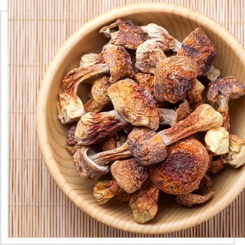 MYQO BIO Agaricus Pieczarka migdałowa, proszek, 100 g