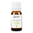 Natur Planet, olejek eteryczny z trawy cytrynowej, 10 ml