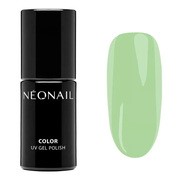 NeoNail, lakier hybrydowy Eternal Fantasies, 7,2 ml https://azcdn.doz.pl/image/d/product/7cdffb78-scale-180x180.png