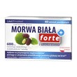 Morwa Biała Plus Forte, tabletki powlekane, 60 szt.
