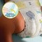 Pampers Premium Care 2, (4-8 kg), pieluszki, 204 szt.