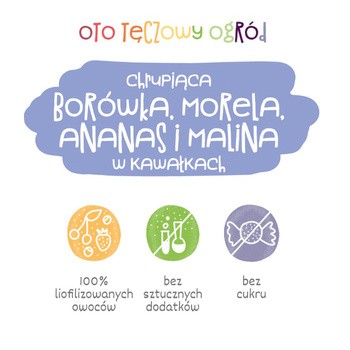 Otolandia Oto Tęczowy Ogród, borówka, morela, ananas, malina, 40 g