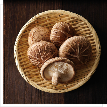 MYQO BIO Shiitake Twardnik japoński, proszek, 100 g