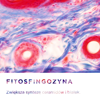 Bioderma Sensibio AR+, krem kojąco-nawilżający redukujący zaczerwienienia, 40 ml