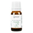 Natur Planet, olejek eteryczny Citronella, 10 ml