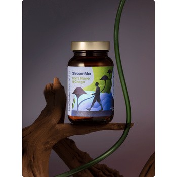 Health Labs Men ShroomMe Lion's Mane & Chaga, proszek, 45,5 g
