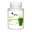 Aliness Naturalny Młody Jęczmień 1800, tabletki, 120 szt.