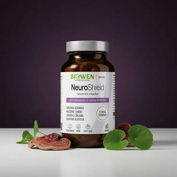 Комплекс грибов Biowen NeuroShield, ежовик, кордицепс и рейши, для мозга и нервной системы, 60 капсул — фото 5