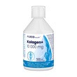 Pureo Health, Kolagen+, 10 000 mg, płyn, 500 ml
