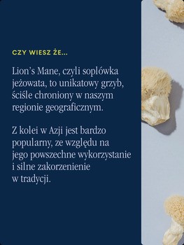 Health Labs Men ShroomMe Lion's Mane & Chaga, proszek, 45,5 g