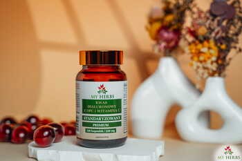 My Herbs Kwas hialuronowy z OPC i Witaminą C, kapsułki, 120 szt.