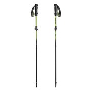 Spokey Terra, Kije trekkingowe, 2 szt. https://azcdn.doz.pl/image/d/product/6bb83d74-scale-180x180.png