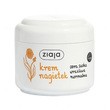 Ziaja Nagietkowa, krem do cery suchej, wrażliwej i normalnej, 100 ml